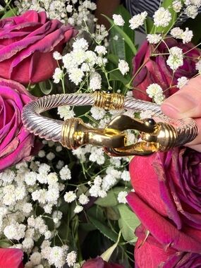 Ansley Bangle Electric Picks Two-Tone Twisted Cable Bracelet with Gold Hook